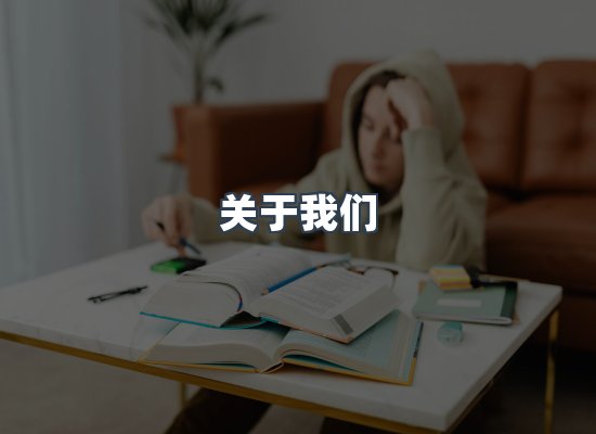 关于我们
